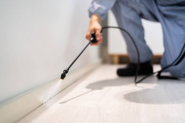 Licensed Cockroach Control service in Bremen, GA - Nex Pest Control