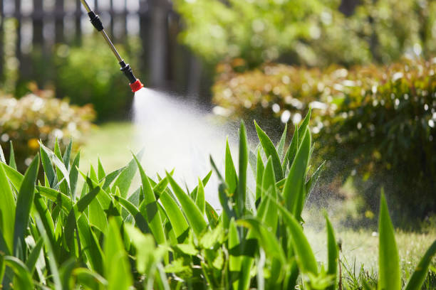 24/7 Emergency Cockroach Control experts in Bremen, GA